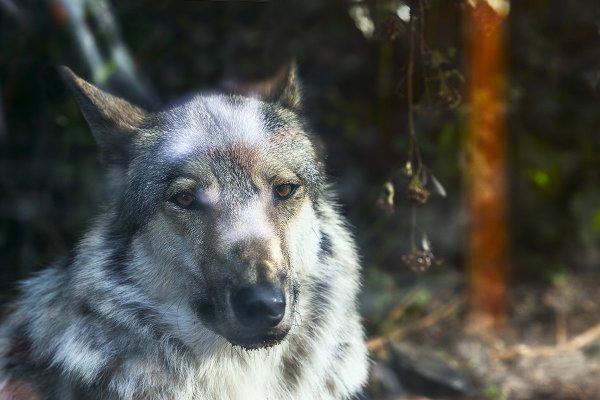 ТОП-20 фотографий за 29.08.2014 г.