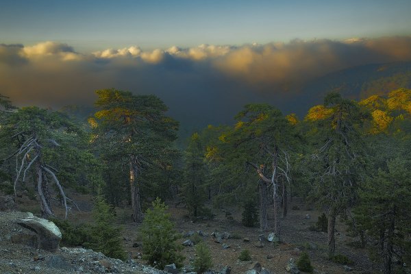 ТОП-20 фотографий за 07.09.2014 г.