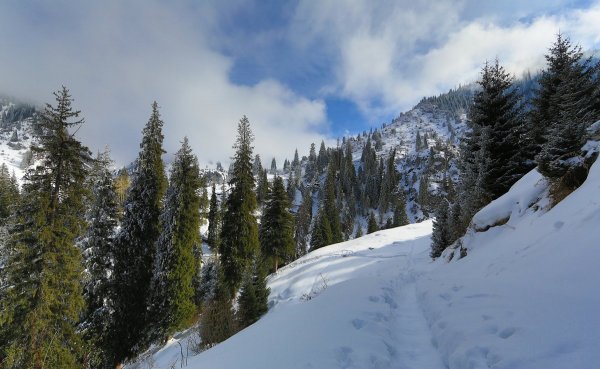 Народное голосование. ТОП-20 фотографий за 27.02.2015&nbsp;г.