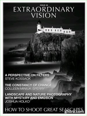 Extraordinary Vision Issue, 2 номера