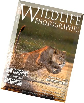 Wildlife Photographic (July-August 2015)