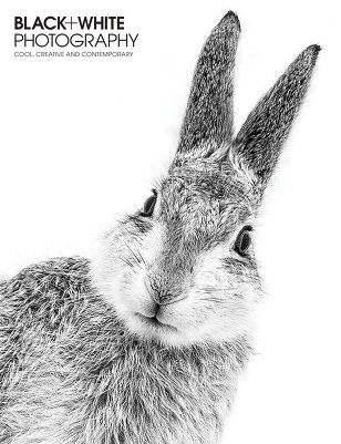 Black + White Photography, 2 номера