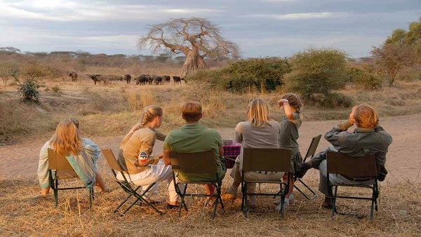 Ruaha Park