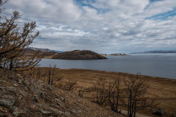 Народное голосование. ТОП-20 фотографий за 05.01.2018&nbsp;г.