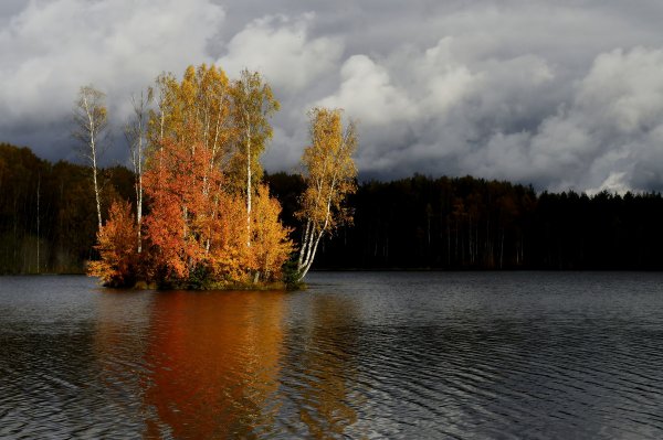 Народное голосование. ТОП-20 фотографий за 21.01.2018&nbsp;г.