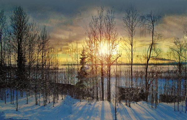 Народное голосование. ТОП-20 фотографий за 29.01.2018&nbsp;г.