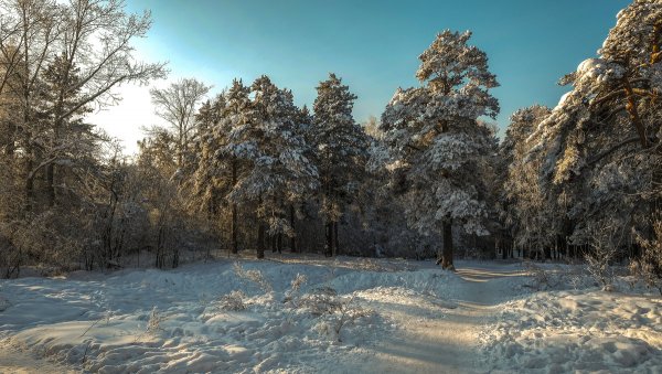 Народное голосование. ТОП-20 фотографий за 12.02.2018&nbsp;г.