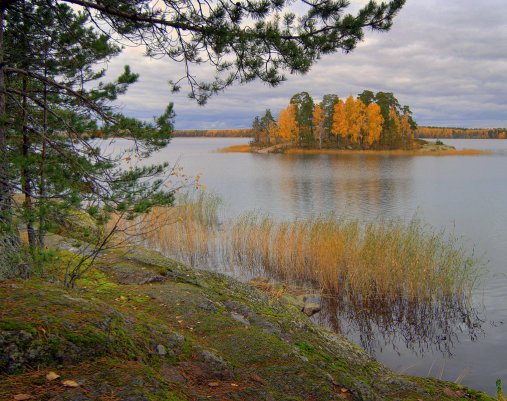Народное голосование. ТОП-20 фотографий за 21.04.2018&nbsp;г.