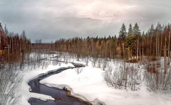 Народное голосование. ТОП-20 фотографий за 22.04.2018&nbsp;г.