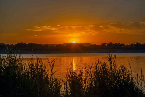 Народное голосование. ТОП-20 фотографий за 22.08.2018 г.