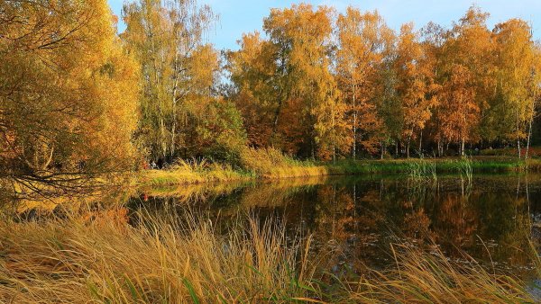 Народное голосование. ТОП-20 фотографий за 17.10.2018&nbsp;г.