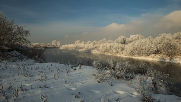 Народное голосование. ТОП-20 фотографий за 07.12.2018&nbsp;г.