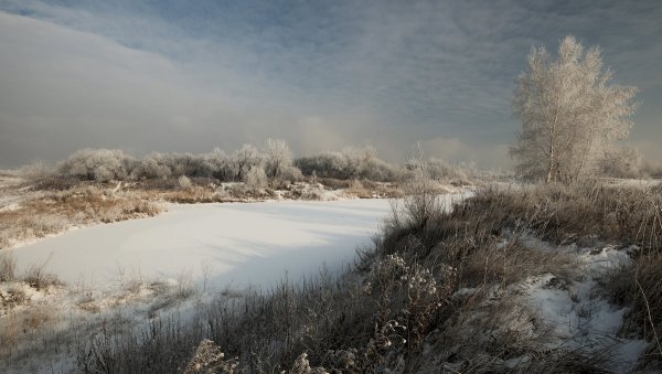 Народное голосование. ТОП-20 фотографий за 09.12.2018&nbsp;г.