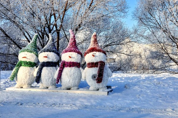Народное голосование. ТОП-20 фотографий за 19.12.2018&nbsp;г.