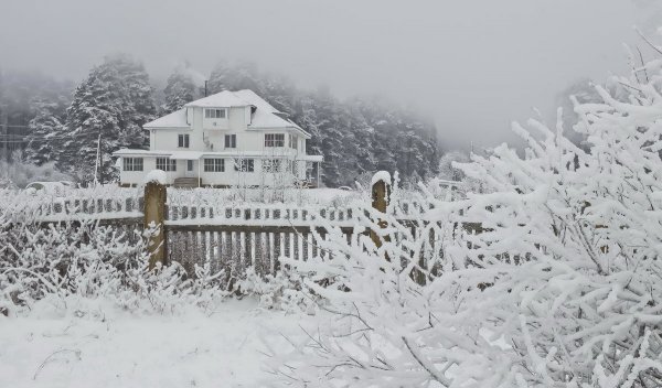 Народное голосование. ТОП-20 фотографий за 24.12.2018&nbsp;г.
