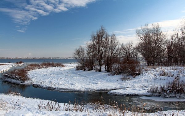 Народное голосование. ТОП-20 фотографий за 04.01.2019&nbsp;г.