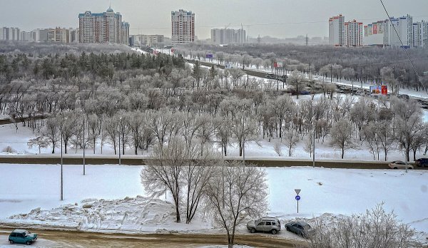 Народное голосование. ТОП-20 фотографий за 20.01.2019&nbsp;г.