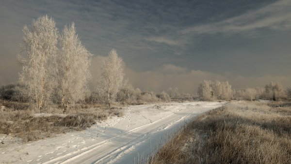 Народное голосование. ТОП-20 фотографий за 23.01.2019&nbsp;г.