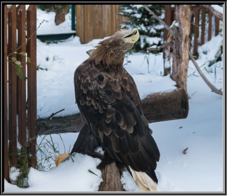 Народное голосование. ТОП-20 фотографий за 05.02.2019&nbsp;г.
