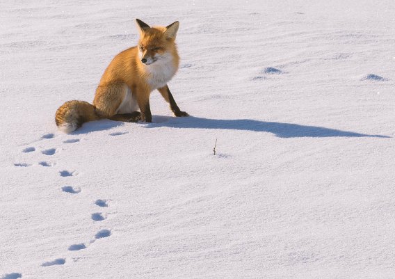 Народное голосование. ТОП-20 фотографий за 14.02.2019&nbsp;г.