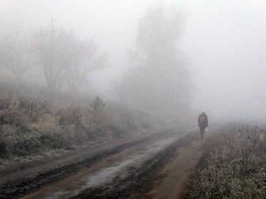 Народное голосование. ТОП-20 фотографий за 17.02.2019&nbsp;г.