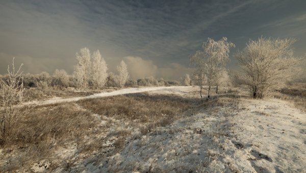 Народное голосование. ТОП-20 фотографий за 19.02.2019&nbsp;г.
