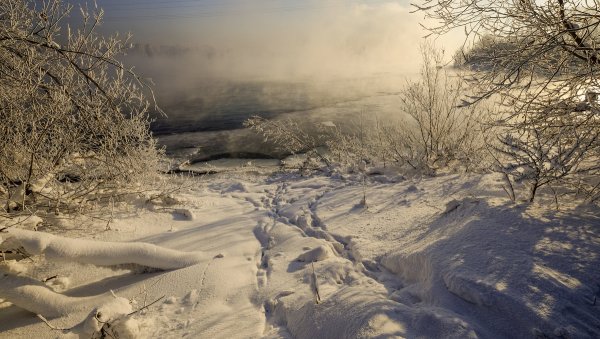 Народное голосование. ТОП-20 фотографий за 20.02.2019&nbsp;г.