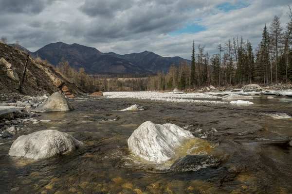 Народное голосование. ТОП-20 фотографий за 21.02.2019&nbsp;г.