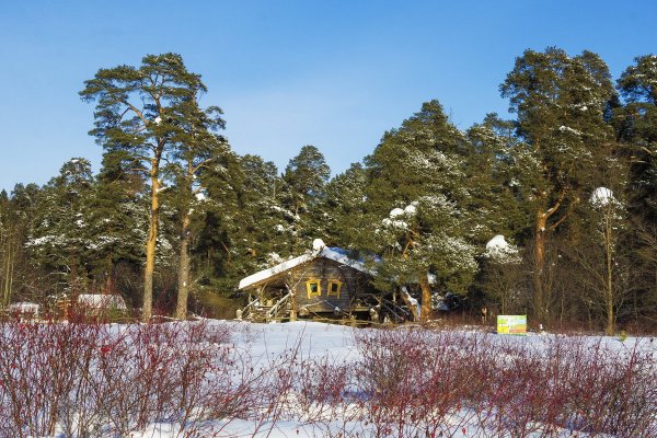 Народное голосование. ТОП-20 фотографий за 28.02.2019&nbsp;г.