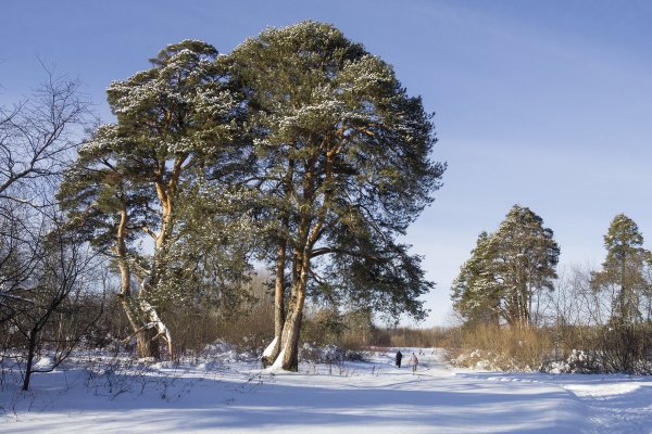 Народное голосование. ТОП-20 фотографий за 07.03.2019&nbsp;г.