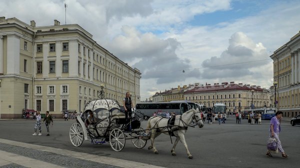 Народное голосование. ТОП-20 фотографий за 12.03.2019&nbsp;г.