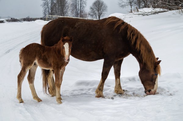 Народное голосование. ТОП-20 фотографий за 27.03.2019&nbsp;г.
