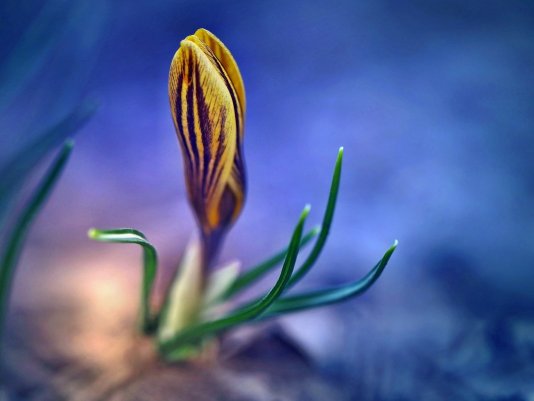 Народное голосование. ТОП-20 фотографий за 02.04.2019&nbsp;г.