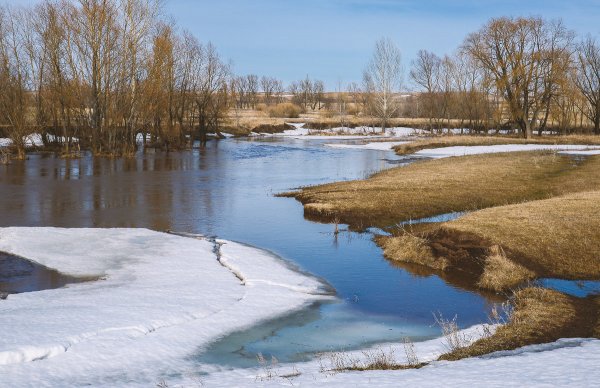 Народное голосование. ТОП-20 фотографий за 11.04.2019 г.