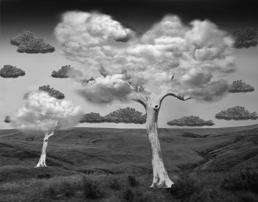 Thomas Barbey