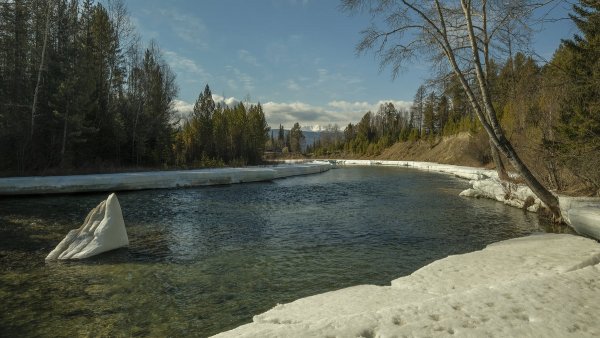 Народное голосование. ТОП-20 фотографий за 19.04.2019 г.
