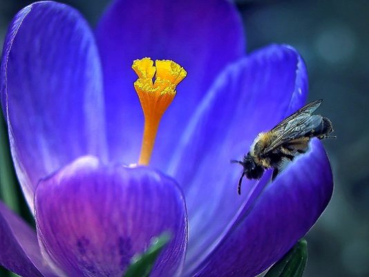 Народное голосование. ТОП-20 фотографий за 30.04.2019&nbsp;г.
