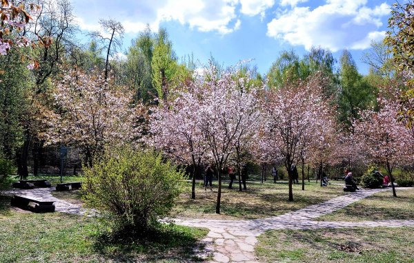 Народное голосование. ТОП-20 фотографий за 01.05.2019&nbsp;г.