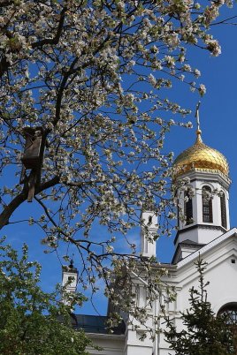 Народное голосование. ТОП-20 фотографий за 06.05.2019&nbsp;г.
