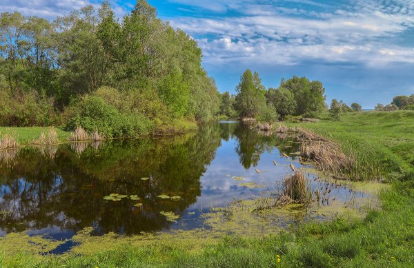 Народное голосование. ТОП-20 фотографий за 14.05.2019&nbsp;г.