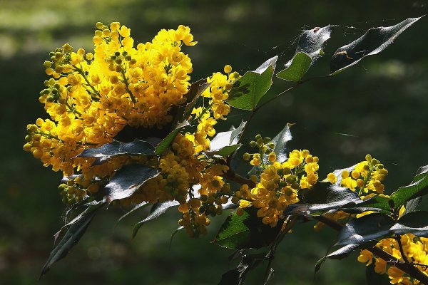 Народное голосование. ТОП-20 фотографий за 15.05.2019&nbsp;г.