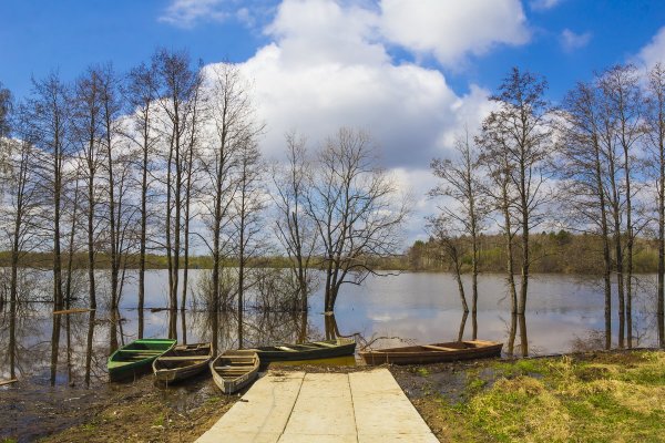 Народное голосование. ТОП-20 фотографий за 16.05.2019&nbsp;г.