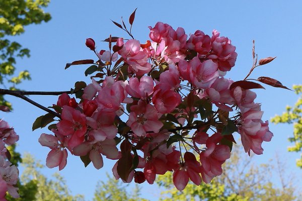 Народное голосование. ТОП-20 фотографий за 17.05.2019&nbsp;г.