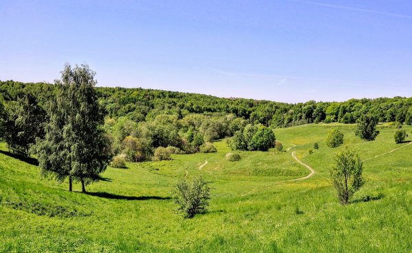 Народное голосование. ТОП-20 фотографий за 18.05.2019&nbsp;г.