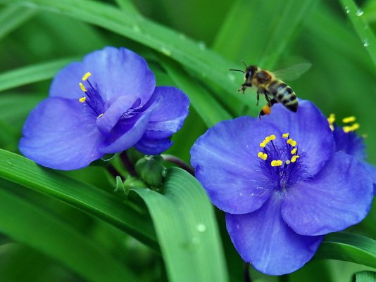 Народное голосование. ТОП-20 фотографий за 05.06.2019&nbsp;г.