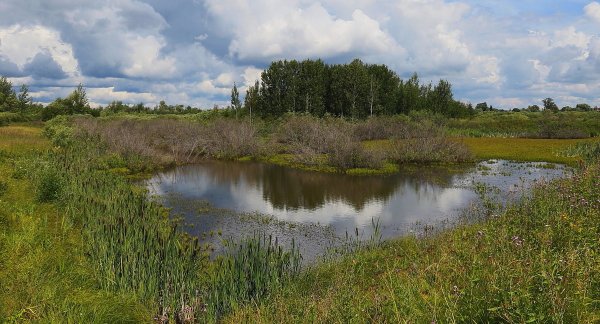 Народное голосование. ТОП-20 фотографий за 10.07.2019&nbsp;г.