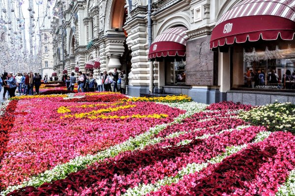 Народное голосование. ТОП-20 фотографий за 05.08.2019&nbsp;г.