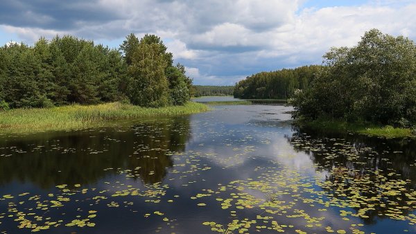 Народное голосование. ТОП-20 фотографий за 07.08.2019&nbsp;г.
