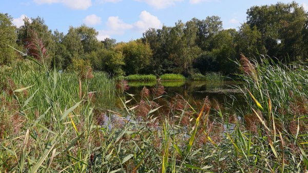Народное голосование. ТОП-20 фотографий за 26.08.2019 г.
