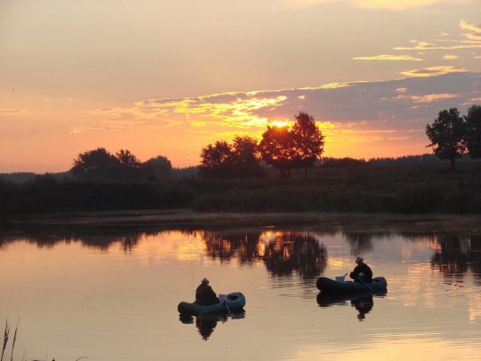 Народное голосование. ТОП-20 фотографий за 29.08.2019 г.